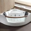 EAGO AM197ETL 5 Ft Clear Rounded Corner Acrylic Whirlpool Bathtub For Two